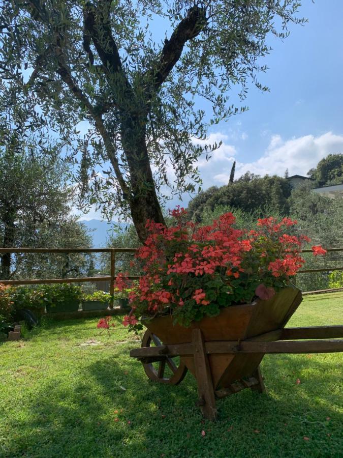 Appartamento Viola Malcesine Bagian luar foto